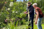Parkähnlich und mit seinen exotischen Gewächsen fast ein botanischer Garten für sich: in inzwischen fast 50 Jahren haben Sybille und Hans Breisacher hinter ihrem Winzerhof in Ihringen am Kaiserstuhl ein echtes Kleinod gestaltet.