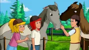 Bibi, Tina und Alex versorgen die Wunde eines der Paint Horses.