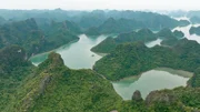Auf den Felsen der Halong Bucht leben Tiere, die es sonst nirgendwo auf der Welt gibt.