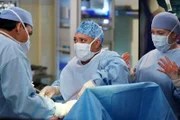 Grey's Anatomy
Staffel 18
Folge 3
Nikhil Shukla als Dr. Reza Khan, Chandra Wilson als Dr. Miranda Bailey, Jaicy Elliot als Dr. Taryn Helm
SRF/ABC Studios
