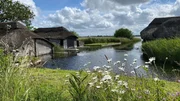 Die Norfolk Broads sind eine von Menschen geschaffene Kulturlandschaft. Zum Dachdecken wird noch heute Reet verwendet. Die Norfolk Broads sind eine von Menschen geschaffene Kulturlandschaft. Zum Dachdecken wird noch heute Reet verwendet.