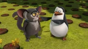 L-R: Maurice, Private