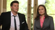 Eine heiße Spur im Mordfall Rachel Knox führt Booth (David Boreanaz) und Brennan (Emily Deschanel) auf die Spuren des Ehemanns der toten Krebspatientin, zu der Rachel ins Grab gelegt wurde.