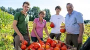 Die ganze Familie Bremehr erntet gemeinsam Kürbisse. Die ganze Familie Bremehr erntet gemeinsam Kürbisse.