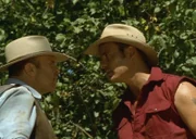 Harry (Marshall Napier, l.) gerät immer öfter mit seinem Sohn Alex (Aaron Jeffrey) aneinander.  Die Verwendung des sendungsbezogenen Materials ist nur mit dem Hinweis und Verlinkung auf TVNOW gestattet.