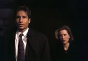 Dana Scully  (Gillian Anderson, r.); Fox Mulder (David Duchovny, l.)