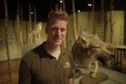 Frank Fa&szlig; vom Wolfcenter Niedersachsen untersucht das Verhalten der W&ouml;lfe. Er glaubt nicht, dass die Tiere gezielt Menschen jagen.