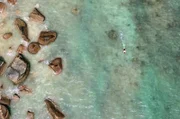 Vaterschaft, Diversität und Umweltschutz: Im beliebten Animationsfilm „Findet Nemo“ wird auch die vielfältige und einzigartige Fauna im australischen Great Barrier Reef hervorgehoben.