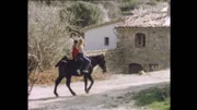 1984: Herbert Schiffl aus München lebt seit zehn Jahren auf Mallorca. Der Film von Arpad Bondy zeigt nicht das Mallorca der Touristen. Es geht um Erinnerungen an ein fast vergangenes Mallorca und darum, Reste eines kulturellen Erbes zu bewahren. Im Bild: Herberts Töchter auf dem eigenen Muli.