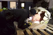 ATECT officer probes bottom surface of the elephant table. (National Geographic/Lucky 8 TV)