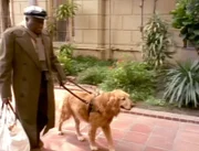 Blindenhund Buff ist seinem Herrchen Lloyd Weeks (Bill Henderson) seit vielen Jahren treu ergeben. Eines Tages schlägt Buff ein jämmerliches Geheul an...