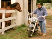 Greg Hanson (Christopher Titus) erbt von seinem Grossvater eine heruntergekommene Pferderanch. Mit Hilfe seines Pferdes Nugget, entdeckt er in der Scheune eine alte Harley Davidson, die angeblich Elvis seiner Frau Priscilla geschenkt haben soll...