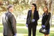 Eine Frau wird beim Joggen im Park erstochen. Da die Tote alle Wertsachen bei sich trägt, schließen die Ermittler Vince Korsak (Bruce McGill), Jane Rizzoli (Angie Harmon, M.) und Dr. Maura Isles (Sasha Alexander) einen Raubmord zunächst aus.
