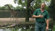 ARD/NDR LEOPARD, SEEBÄR & CO., FOLGE 148, Tierpfleger Thomas Günther macht den Keepertalk bei den Giraffen.