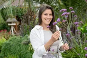 Die fünfte Gartenreise führt nach Emsdetten im Münsterland. Hier genießt Sozialpädagogin Jacky Uda Urlaubsflair unter Palmen und Bananen. Ihren 400qm großen Garten mitten in einem Wohnviertel hat sie gemeinsam mit ihrem Mann Andre vor zwei Jahren geplant und angelegt.
