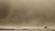 Die größte Umweltkatastrophe in der Geschichte der USA war ein Staubsturm. Der sogenannte "Dust Bowl" veränderte die Geschichte des Landes.