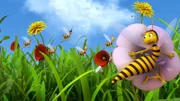Die Schwebfliege Mimi wird von den Bienen für eine Wespe gehalten.
