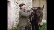 Herbert Schiffl aus München lebt seit zehn Jahren auf Mallorca. Der Film von Arpad Bondy zeigt nicht das Mallorca der Touristen. Es geht um Erinnerungen an ein fast vergangenes Mallorca und darum, Reste eines kulturellen Erbes zu bewahren. Im Bild: Herbert beim Bürsten seines Mulis.