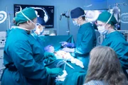V.l.: Krankenschwester (Komparsin), Dr. Claire Browne (Antonia Thomas), Dr. Neil Melendez (Nicholas Gonzalez), Krankenschwester (Komparsin)