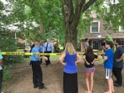 Cormier backyard crime scene.