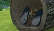 In Normans Versteck gibt es Ameisen, die an seinem Bein hochkrabbeln.