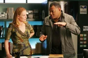 Catherine (Marg Helgenberger) und Ray (Laurence Fishburne) müssen die Umstände eines Verkehrsunfalls klären, bei dem das Starlet Olivia Hamilton getötet wurde.