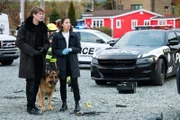 Charlie (JOHN REARDON), Rex (DIESEL VOM BURGIMWALD) and Sarah (MAYKO NGUYEN)