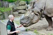 SENDER: ARD - SENDETITEL: Panda, Gorilla & Co. - UNTERTITEL:  Geschichten aus dem Zoo Berlin und Tierpark Berlin - CAPTION:  ARD/rbb PANDA, GORILLA & CO., "Geschichten aus dem Zoo Berlin und Tierpark Berlin", am Samstag (21.07.18) um 09:55 Uhr im ERSTEN..Der regelmäßige Kontakt zwischen Pflegern und Tieren ist wichtig, um von Anfang an ein gegenseitiges Vertrauensverhältnis herzustellen. Tierpfleger Carsten Schwend füttert Panzernashorn Yohda mit Äpfeln.