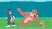 v.li.: Tom, Spike, Tyke