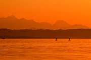 Das Stehpaddeln hat in Deutschland in den 2010er Jahren Einzug gehalten und ist mittlerweile eine weit verbreitete Sportart auf allen Seen.
