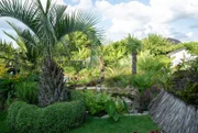 Die fünfte Gartenreise führt nach Emsdetten im Münsterland: der 400 qm große Garten von Gastgeberin Jacky Uda und ihrem Mann Andre.
