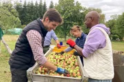 Yared Dibaba als Erntehelfer im ehemaligen Grenzdorf