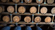 Es geht nach Puerto Rico, genau genommen nach San Juan in eine altehrwürdige Bacardi-Fabrik.
