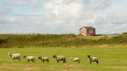 Das dänische Grenzhaus auf der Deichkrone - erster Grenzübertritt auf der "Grenzroute"