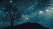 Der kosmische Lauf des Universums wird von Naturgesetzen bestimmt. Bestimmen diese Naturgesetze auch unser Schicksal?