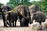 Geschichten aus dem Zoo Berlin und Tierpark Berlin