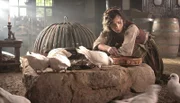 In der Sendung "Unsere Lieblingsmärchen - Vom Aschenputtel bis zur Salzprinzessin" erinnern sich die Schauspieler und Protagonisten der Filme an die Märchen ihrer eigenen Kindheit.