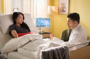 Dr. Lilly Phan (Mai Duong Kieu) befürchtet nach der Verletzung ihrer Hand, nie wieder als Neurochirurgin arbeiten zu können. Für sie ist somit der Sinn ihres Lebens in Frage gestellt. Dr. Ilay Demir (Tan Caglar), ihr Kollege und Freund, macht ihr klar, wie knapp alles war. Dass Lilly den Autounfall und ihre Pfählungsverletzung überhaupt überlebt hat, ist schon Wunder genug.