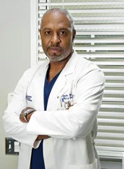 (2. Staffel) - Halbgott in weiß: Dr. Richard Webber (James Pickens, Jr.) ...