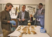 Alan Rosenberg (Docteur William Golliher), Titus Welliver, Jamie Hector