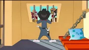 Meathead Cat, Tom, Butch Cat