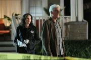 Sara (Jorja Fox) und D.B. Russell (Ted Danson) suchen fieberhaft nach Hinweisen auf den Verbleib von D.B.'s entführter Enkelin. Wird D.B. Kaitlyn noch lebend wiedersehen?  +++