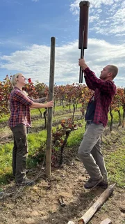 Zusammen mit ihrem Freund Simon repariert Winzerin Shanna einen Pfosten, den der Vollernter im Weinberg umgefahren hat.