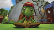 Franklin studiert im Garten sein Insektenbuch.