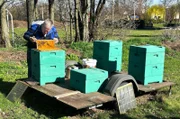 Seit 20 Jahren wandert Steffen Winde mit seinen Bienen rund um Ganzig.