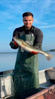 Sander fängt Zander. Sander fängt Zander.