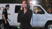 Bei einer Massenschlägerei wurden drei Menschen getötet und zwölf verletzt. Die Ermittlungen führen Staatsanwältin Rubirosa (Alana De La Garza) und ihre Kollegen zu einer Clique von illegalen Streetfightern.