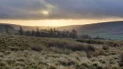 Blick über das Moor