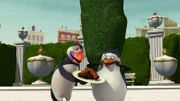 L-R: Hans, Private