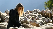 Lilly Engel (Julia Beautx) muss sich um eine Schafherde kümmern.